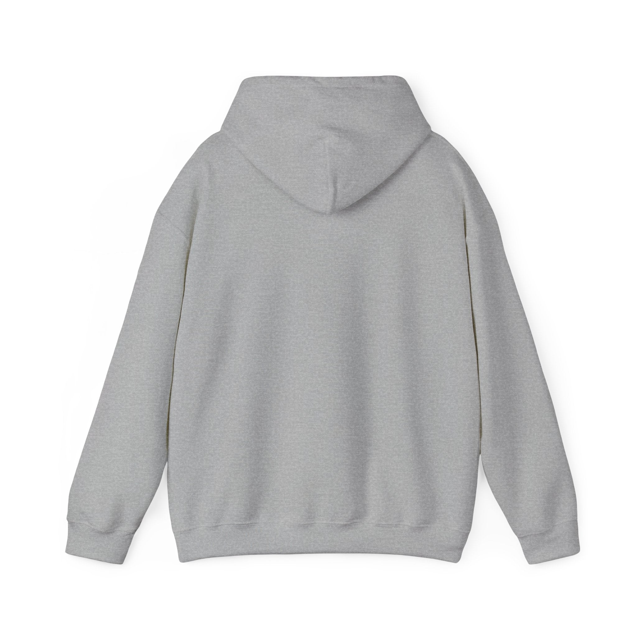 AATEE81 – Hyvät Bileet – Unisex Hoodie