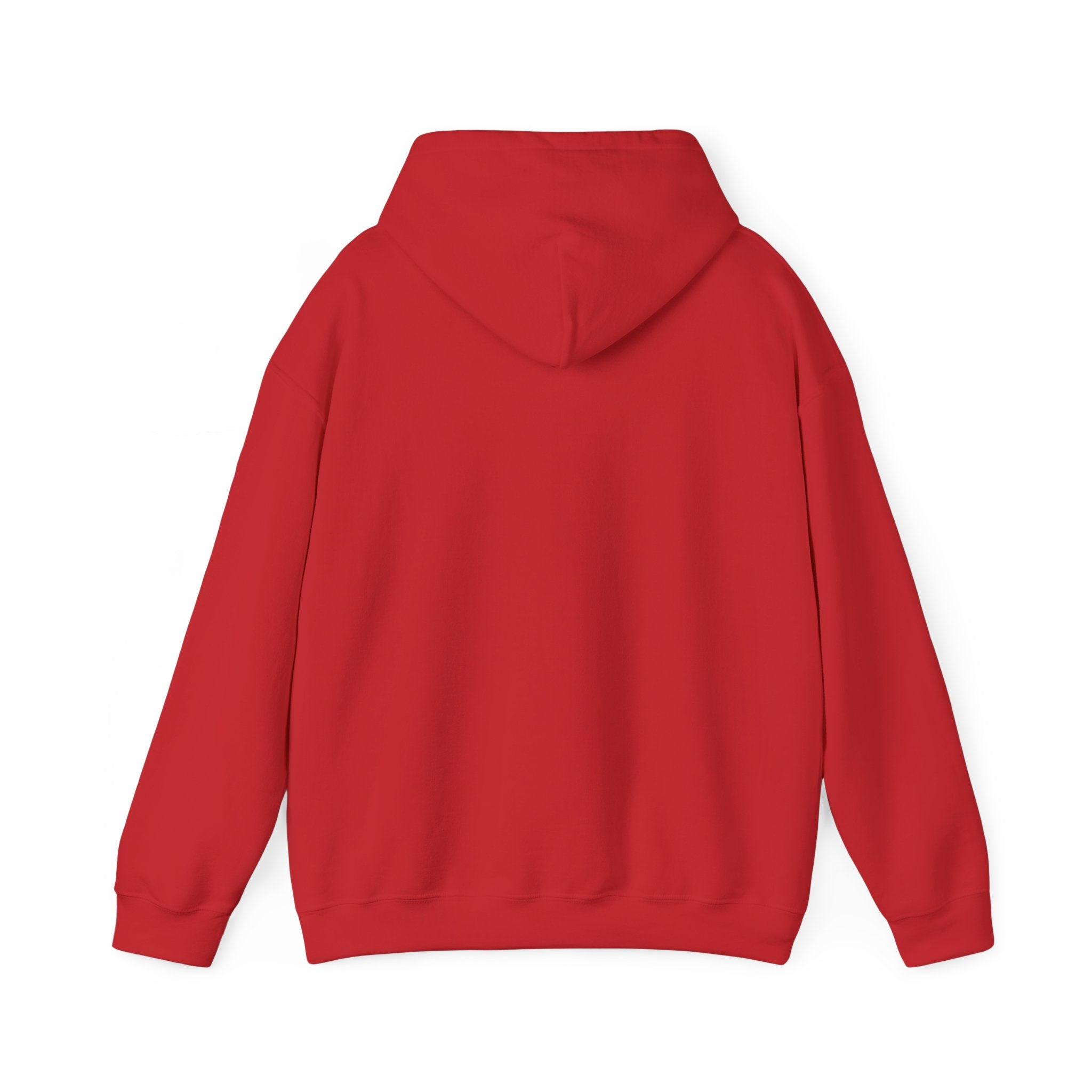 AATEE81 – Hyvät Bileet – Unisex Hoodie