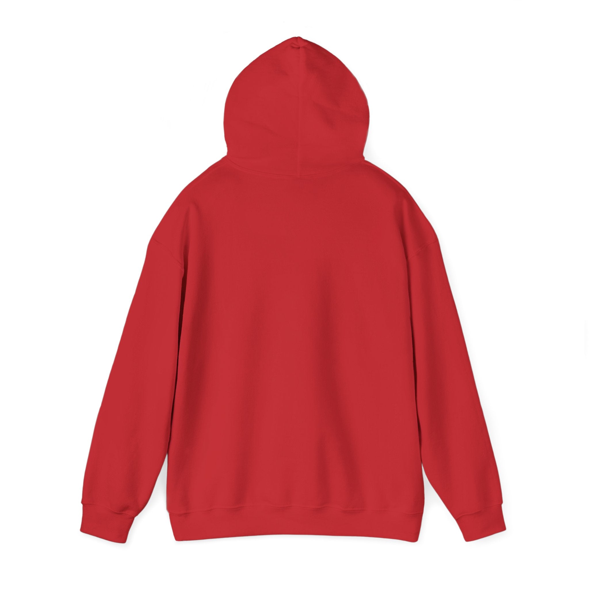 AATEE81 – Hyvät Bileet – Unisex Hoodie