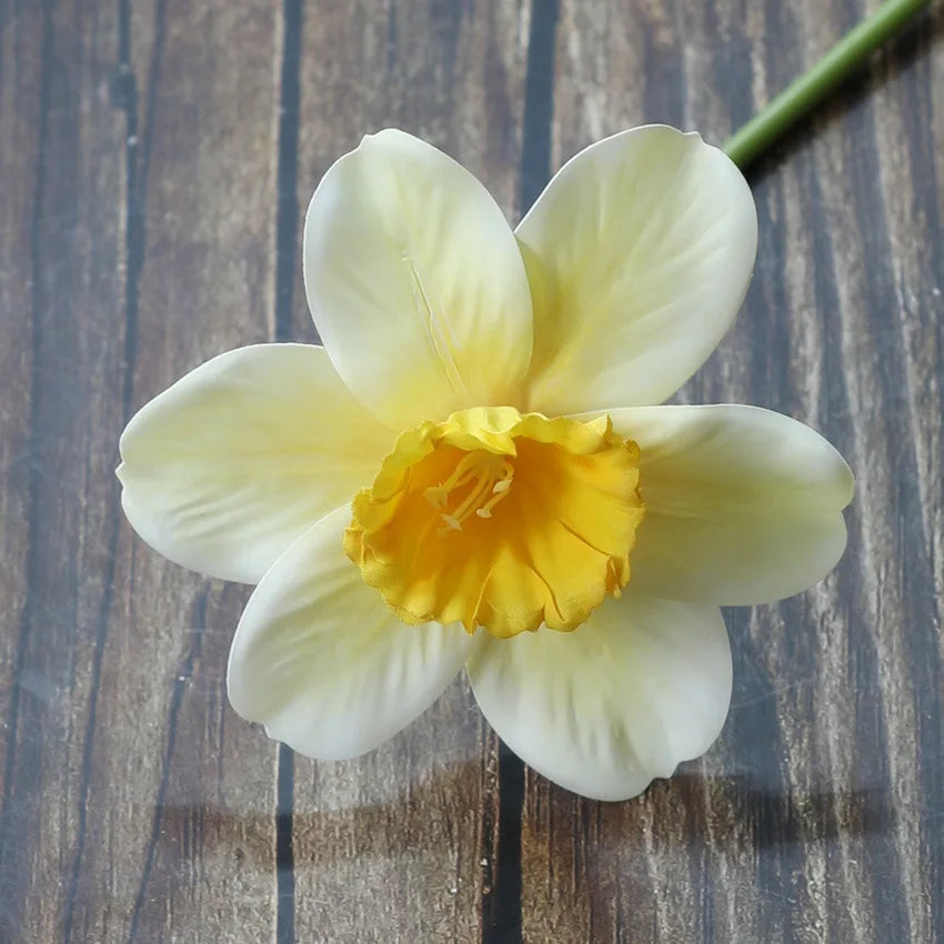 20PCS Artificial Daffodil Flowers – Real Touch Spring Blooms - candletown.net