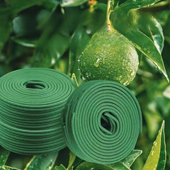 Two rolls of green garden tape on a leafy background with a green fruit.