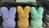 Bunny Plush Toy – Soft Easter Rabbit Pillow for Kids